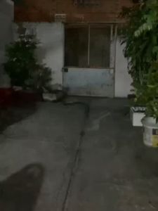 Bộ 10 Cái Đèn Led Panel 60x60cm 50W đèn Led âm trần thạch cao siêu sáng cho không gian rộng - Bảo hành 12 tháng