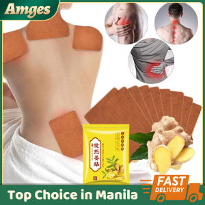 100 Pcs/Set Herbal Ginger Patch Detox Adhesive Patches Promote Blood Circulation Pain Relief Herbal Ginger Patches