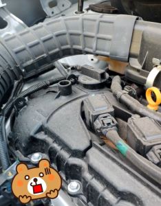 น้ำย่าเคลือบเงารถ กันหนู กันหมาฉี่ ห้องเครื่อง คอนโซล ยาง พลาสติก ไฟเบอร์ สูตรพิเศษจาก Cotora แบบ 3 กระป๋อง