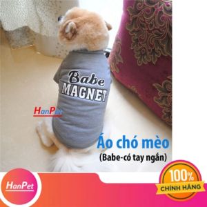 Quần áo chó mèo Babe tay ngắn áo thú cưng