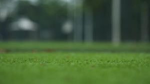 999B--Mens and womens golf shoes golf supplies fashionable outdoor training shoes