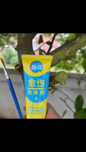 100g Bonsai Pruning Sealer Paste with Brush Tree & Seedling Wound Healing Cream for Plant Cutting Grafting Repair