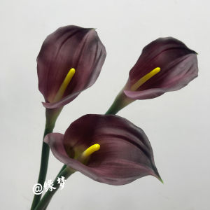 Cốc Hoa Pha Lê Chất Lượng Cao Hoa Giả Trang Trí Nhà Bàn Ăn Đồ Trang Trí Lễ Hội Chụp Ảnh Đồ Dùng Thủ Công