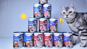 Pet Wet Food Canned Cat Canned Food 400g Cat Wet Food Snacks Pet Food