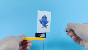 Bộ thí nghiệm về tầm nhìn hình ảnh lồng chim dùng thí nghiệm học tập DIY Stem Steam - HM0280