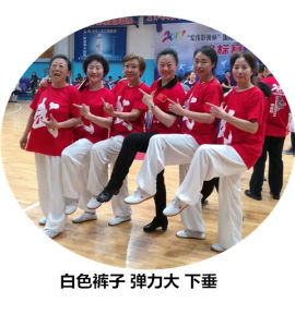 YiYuan Tai Chi Uniform Ice Silk Black Adult Children Training Pants Martial Arts Performance Clothing Morning Exercise Lantern Pants