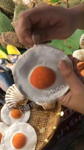 (ส่งฟรี) กระเป๋าไข่ดาว กระเป๋ายางพารากระเป่าสตางค์ แถมสายคล้องคอ Handmade ไข่ดาว