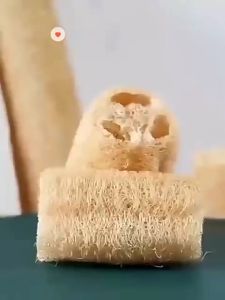 Natural Loofah Dishwashing Soft Fluffy Loofah Rag 【2pcs 】天然丝瓜络洗碗清洁百洁布老丝瓜洗碗刷洗锅不沾油丝瓜瓤锅刷神器