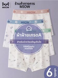 MiiOW | Breathable Cotton Underwear for Teen Boys
