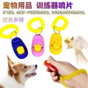 Training And Sound Pet Bird Toy
