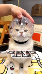 Pet Wipes 1 Pack 6Pcs Cat Wipes Dog Wipes Cats Dogs Wipe Plant-Based Formula For Daily Use Cat Cleaning Gloves