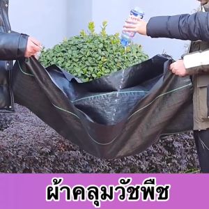 พลาสติกคลุมวัชพืช ผ้าคลุมหญ้า ผลิตทางการเกษตร สมบูรณ์ การซึม สมบูรณ์สำหรับการผลิต 1ม x 50 กันยูวี 100%