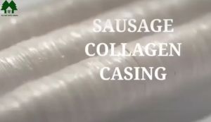 EDIBLE - Collagen Sausage / Longganisa Casing (Alternative/Substitute Hog Casing)