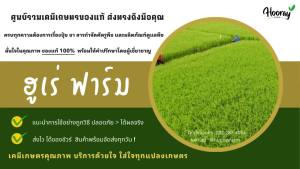 พาโตเร่ 1 ลิตร(ของแท้)( ไดฟีโนโคนาโซล 15% +โพรพิโคนาโซล 15% ) กำจัดเชื้อรา เมล็ดด่าง ใบจุด กาบใบแห้ง