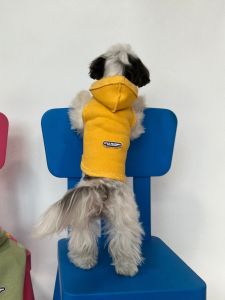 Thickened Fleece Autumn Winter Pet Sweatshirt for Cats And Small Dogs Warm Unlined Hooded Jacket Teddy Dog Clothes