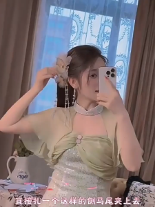 Butterfly Tassel Clip Womens New Advanced Hair Shark Clip Temperament Hair Clip Headdress Hair Accessories