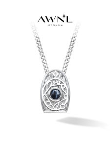 Rune Hawks Eye Stone Necklace