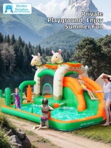 Doctor Dolphin | Inflatable Playhouse with Pool and Slide