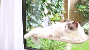 SKISOPGO Cat Window Hammock Cordless Cat Bed Sleeping Cat Hammock Strong Suction Cat Window Bed Rumah Kucing
