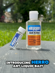 HERRO Liquid Ant Baits Station Anti Ant Killer Bait Ubat Semut 蚂蚁诱饵 Racun Semut Roach and Ant Result Same as Terro