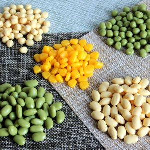Simulation Bean Model Pea Soybean Corn Food Props Display Models Grains And Legumes Toys for Children Educational Play Food