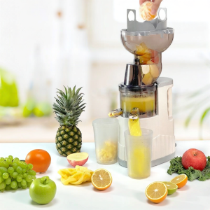 MOKUSAN | High Power Large Feed Tube Juicer for Fruits and Vegetables With Pulp Extraction