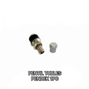PENTIL TUBLES PENDEK - COP BAN TUBLESS BESI PENDEK