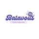 Batavous-store