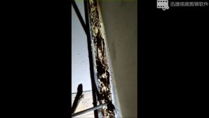 Kotak Umpan Rayap Alat Anti Rayap Termigard Umpan Anti Rayap Baiting Pembasmi Semut