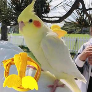 Parrot Training Harness Leash Set Anti-Bite Outdoor Flying Rope For Cockatiels Small Birds Supplies 