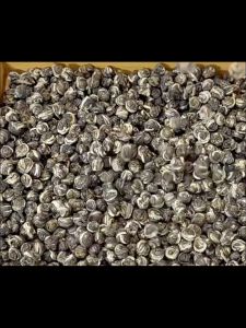 ชามะลิอย่างดีหนัก茉莉茶粒ชามะลิ