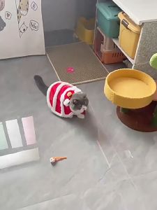 ชุดเชิดสิงโตหมาแมว ชุดจีนหมาแมว ชุดสิงโต แบบผ้าคลุมมังกร และเป็นชุดจีนสี่ขา ใส่วันตรุษจีนพร้อมหมวก chinese new year dog clothes