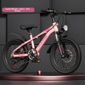 New Shock Absorbing Speed Shift Disc Brake Kids Mountain Bike