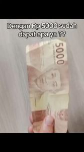 Kaos Kaki Bayi Lipat Model - Tebal Nyaman dan Praktis - Katun - 9 Model Warna