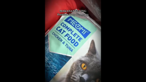 MEOMI Makanan Kucing Premium Quality Complete Cat Food Chicken & Tuna 10kg
