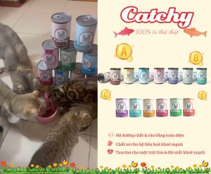 Pate Cho Mèo Catchy 160g