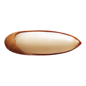 WENXIANGZAN | Brazilian Super Large Premium Hand-shelled Pine Nuts Snack