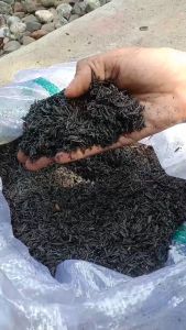 Sekam bakar media tanam 500 gram sekam bakar padi