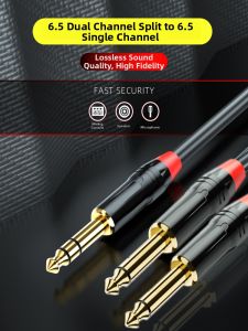 Audio Y Splitter 6.5mm TRS to Dual TRS & TS