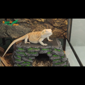 Basking Platform 34x13.5x18cm Reptile Hideout Cave Terrarium Turtle Tortoise Lizard Snake Bearded Dragon Gecko HZ021