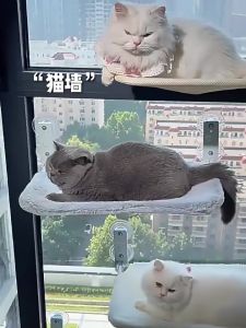 🐱รับน้ำหนักได้ถึง 30 kg🐱เปลแมว เปลแมวแบบแขวน 52cm ขนาดใหญ่ แบบไร้สาย พับเก็บได้ ที่นอนแมว เปลแมวติดหน้าต่าง เปลแบบดูดของสัตว์เลี้ยง