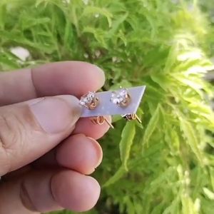 Anting Tusuk Permata Titanium Gold Lapis 24k anti Luntur Terlaris 2025