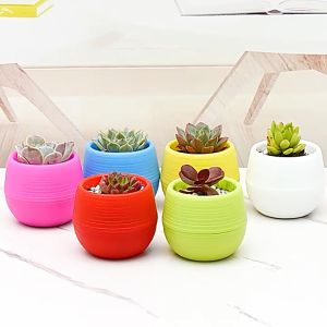 COLORFUL MINI BALL DESIGN SUCCULENT CACTUS PLASTIC FLOWER ROUND POT COLOR SELECTION HOME