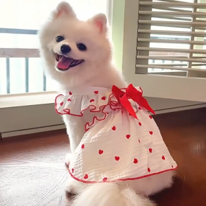 【SG】Pet Bow Dress Dog All Cotton Cloth Dress Fashion Cat Bow Dress Pet Skirt