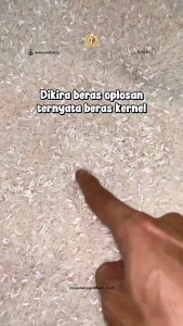 Beras Online - Idola Beras Fortifikasi 10 kg