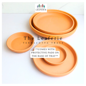 The Leaferie Terracotta flowerpot tray (8 sizes) . saucer . flowerpots plate. flower pot trays . plant pots base. planter . planters