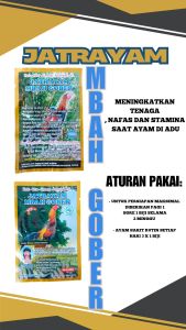 MBAH GOBER -  jamu ayam petarung