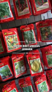 Benih Bibit Bayam Merah Delima Benih Unggul Jawara - BAYAM MERAH DELIMA