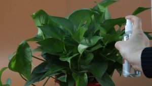 100 PCS ขวดสเปรย์ สีใส ขวดใส่สเปรย์พกพา ขวดสเปรย์น้ำหอม มี ขนาด 30 50 100 มล ขวดสเปรย์แอลกอฮอล์ Transparent bottle spray