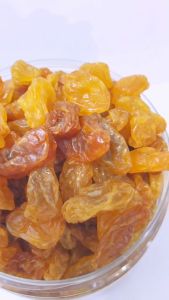 Kimis Golden Raisin Premium 270gr - Kismis Asam Manis Kismis Anggur - untuk kue - SHABANI STORE